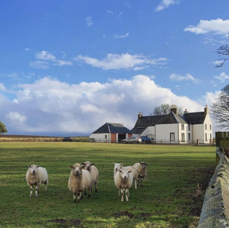 Bed and Breakfast Tarrel Farmhouse à Portmahomack Extérieur photo